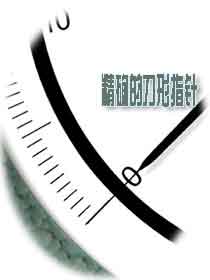 精確的精密壓力表刀型指針